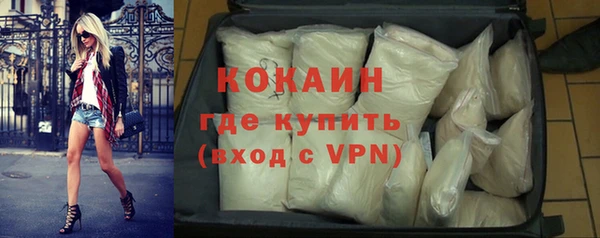 спиды Вяземский