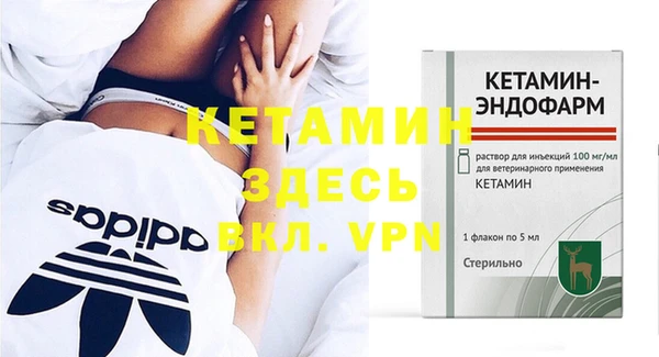 спиды Вяземский