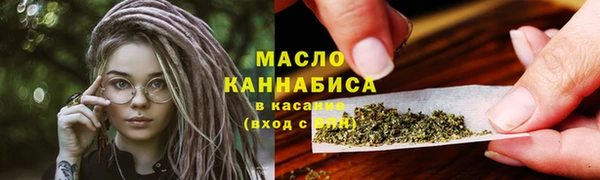 спиды Вяземский
