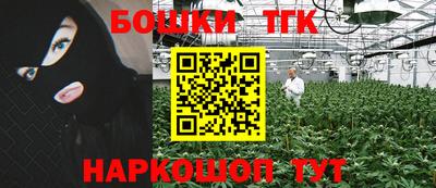 прущие крисы Аргун