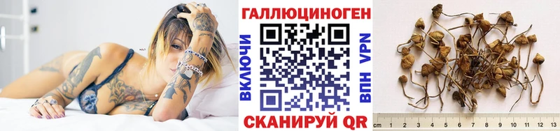 Галлюциногенные грибы Psilocybe цены наркотик Нерюнгри