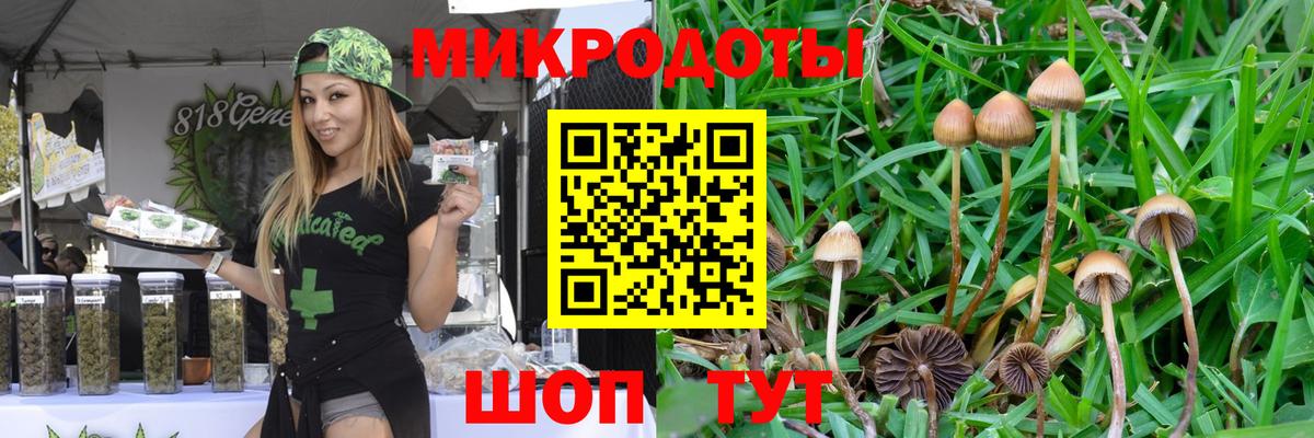 Псилоцибиновые грибы мицелий Нерюнгри