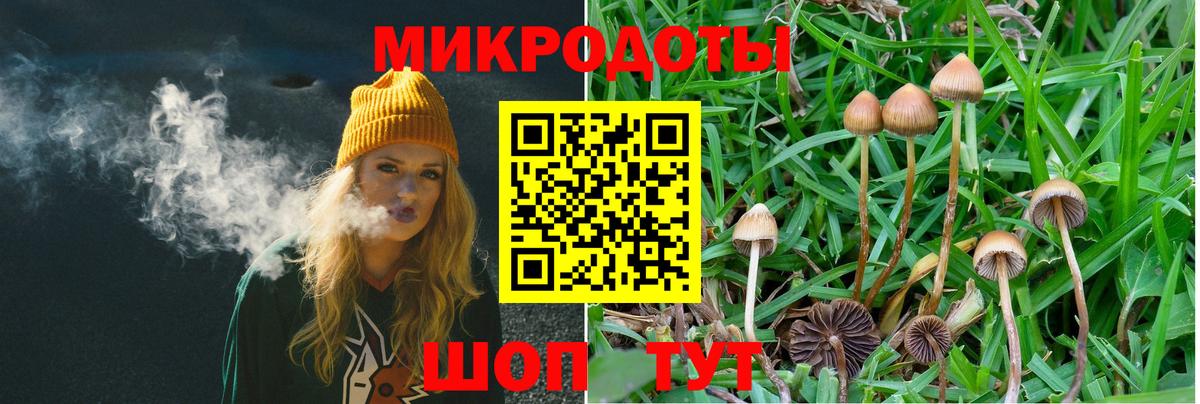 Галлюциногенные грибы Psilocybe  Псилоцибиновые грибы ЛСД  Нерюнгри 