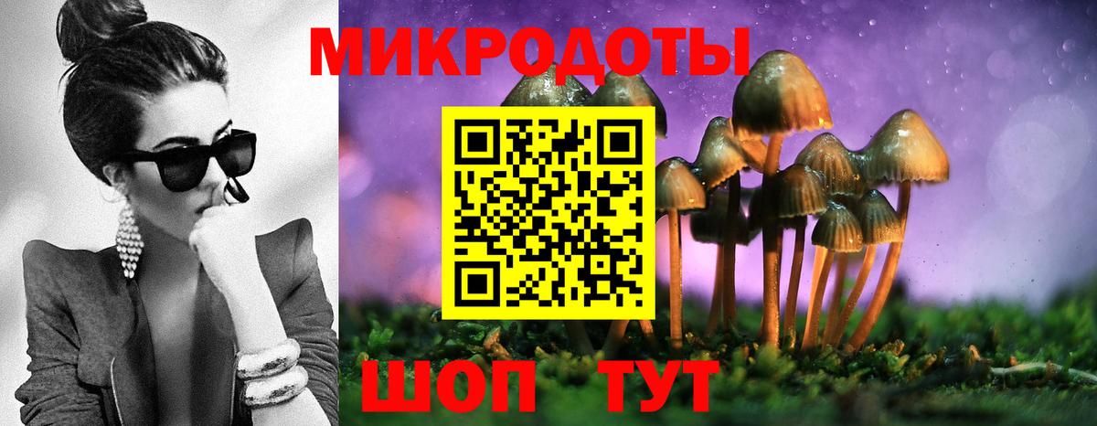 Галлюциногенные грибы Psilocybe Нерюнгри