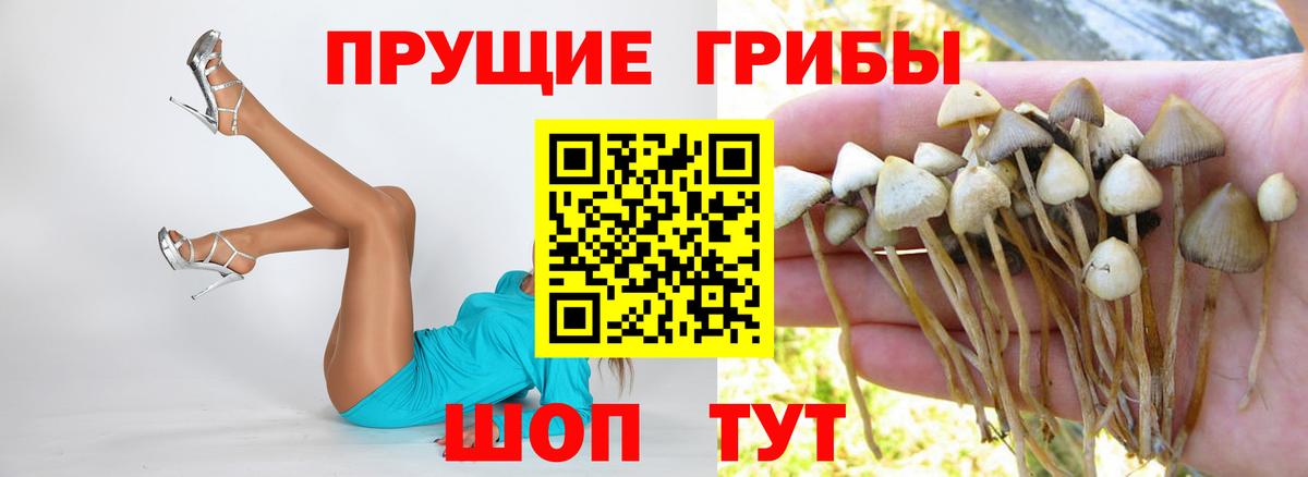 хочу   Галлюциногенные грибы мицелий  Вход с VPN  Нерюнгри 