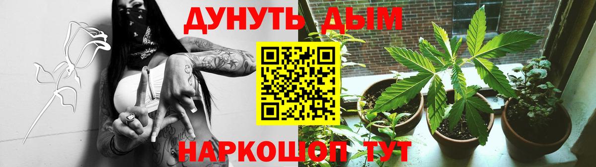 Шишки марихуана план  Нерюнгри  Каннабис VHQ 